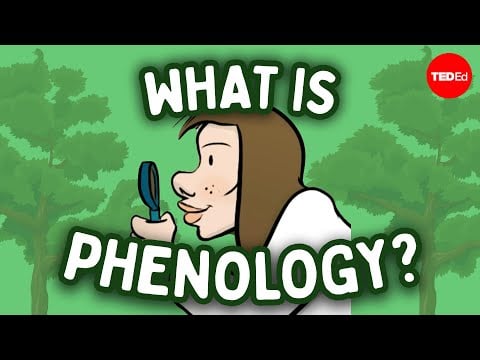 Phenology and nature