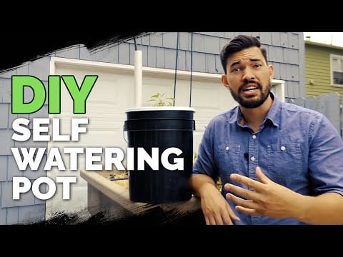 How to Build a Self Watering Pot For $10 😱