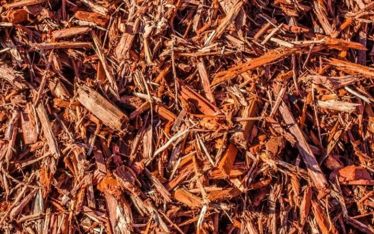 The Pros And Cons Of Using Cedar Mulch In Gardens