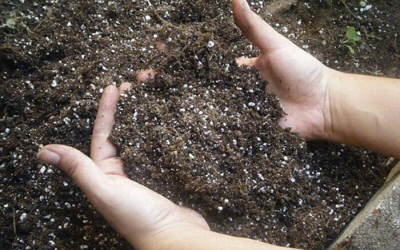 Use The Right Soil Use The Right Soil