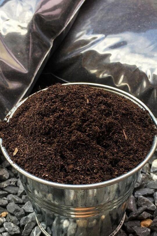 Peat Moss: What It Is And How To Use It In The Gardens
