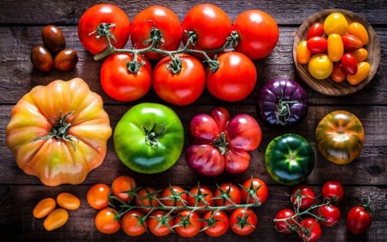 The 18 Best Heirloom Tomato Varieties to Grow in Your Garden This Year