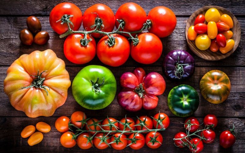 18 Best Heirloom Tomato (1)