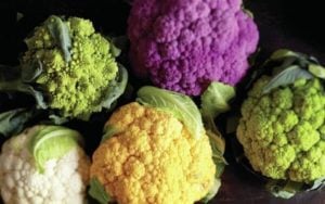 20 Delicious Broccoli Varieties to Grow This Year