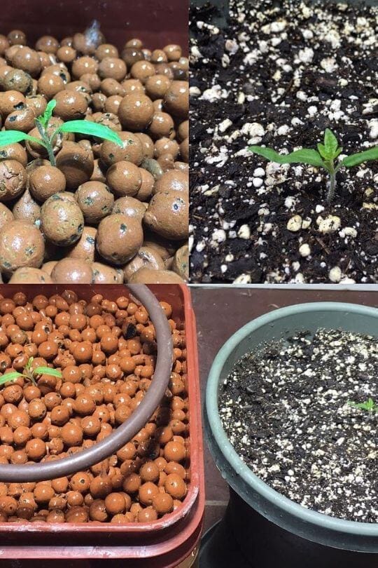 Choose Your Nutrient Mix