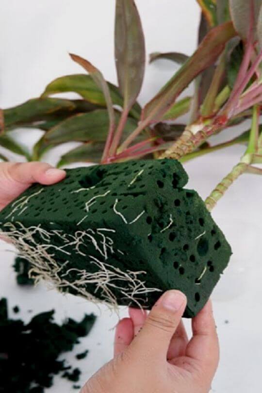 Different Types Of Hydroponic Grow Mediums (Which Is The Best?)