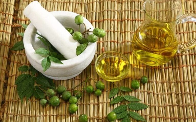 How Use Neem Oil on Plants as an Organic Insecticide