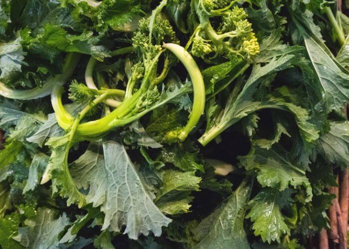 Broccoli Varieties 20 Types Of Broccoli You Can Grow Gardening Chores