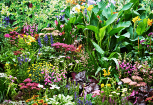 Tropical Flowers To Satisfy Your Need For Exoticism