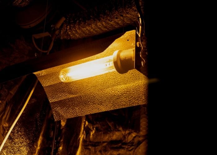 How To Start Growing Plants Indoors With Artificial Light Gardening