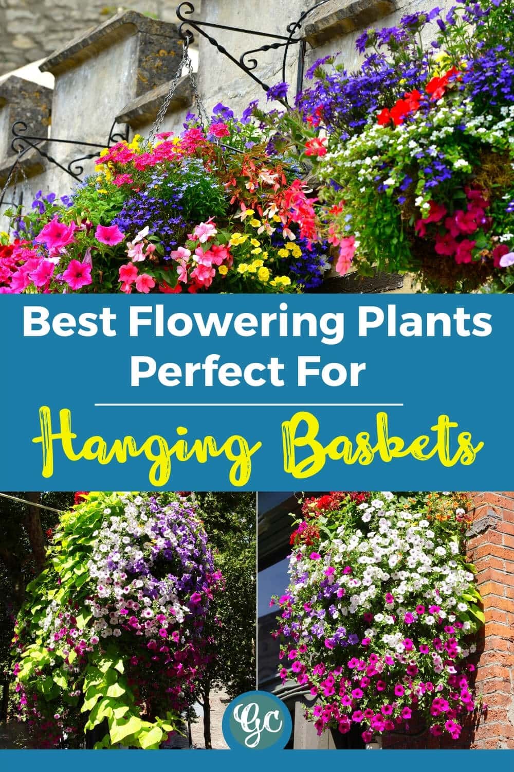 15 Best Flowers For Hanging Baskets