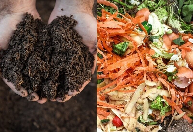 Compost vs. Organic Material