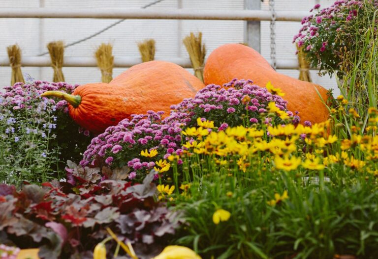 15 Fall Flowers for Picture-Perfect Autumnal Pots and Container Gardens
