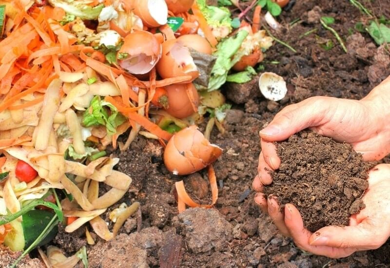 How to Get the Most Out of Your Compost