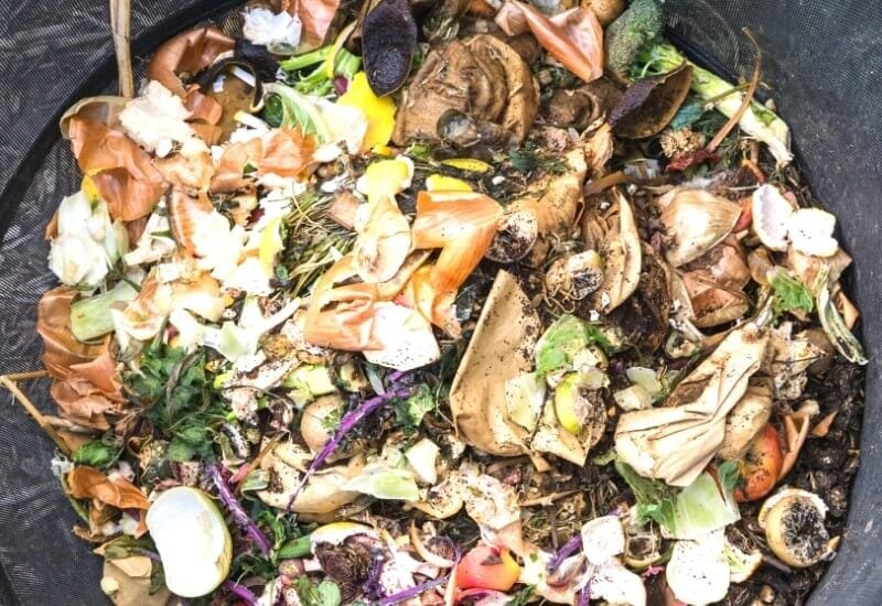1.	Organic Material