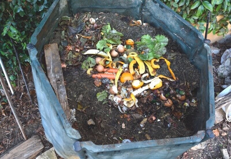 Use compost as a mulch