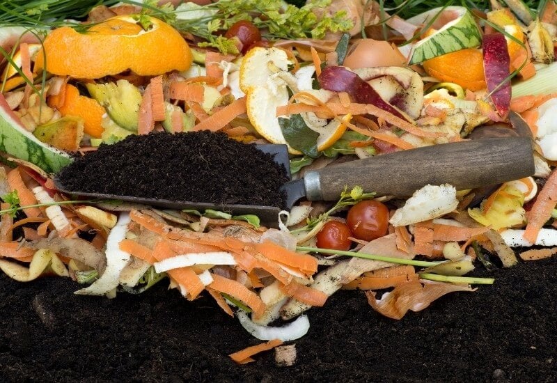 Use compost as a soil amendment