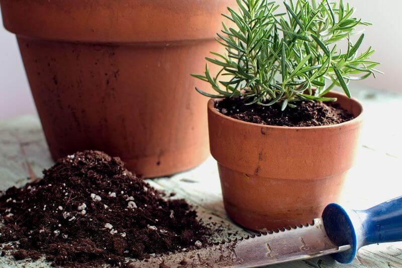 Use the Proper Soil