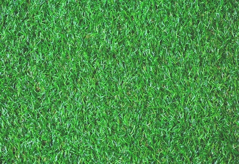 Method 5: Smothering the Grass
