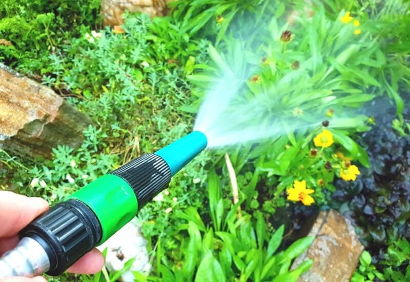 3.	Water the flower bed