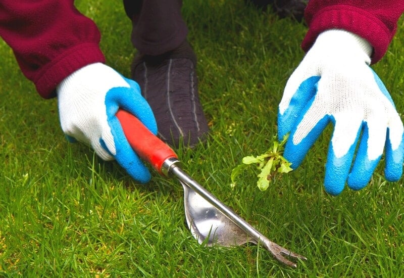 How to Kill Unwanted Grass in Flower Beds