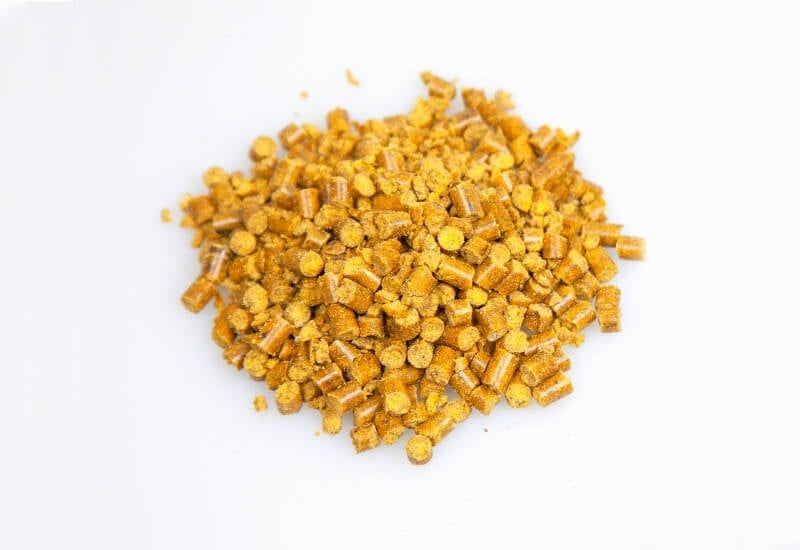 Homemade Fertilizers 10 DIY Options To Fertilize Houseplants Naturally