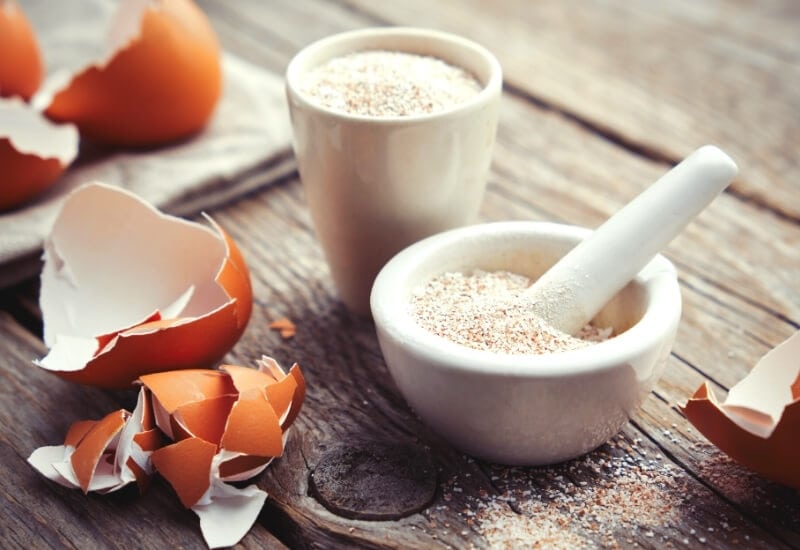 1.	Crushed Eggshells