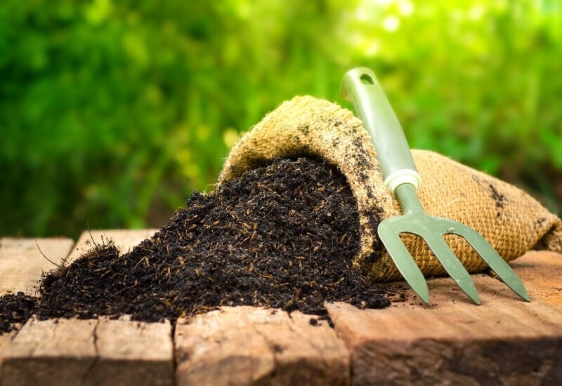 The Benefits of Using Homemade Fertilizers for Houseplants