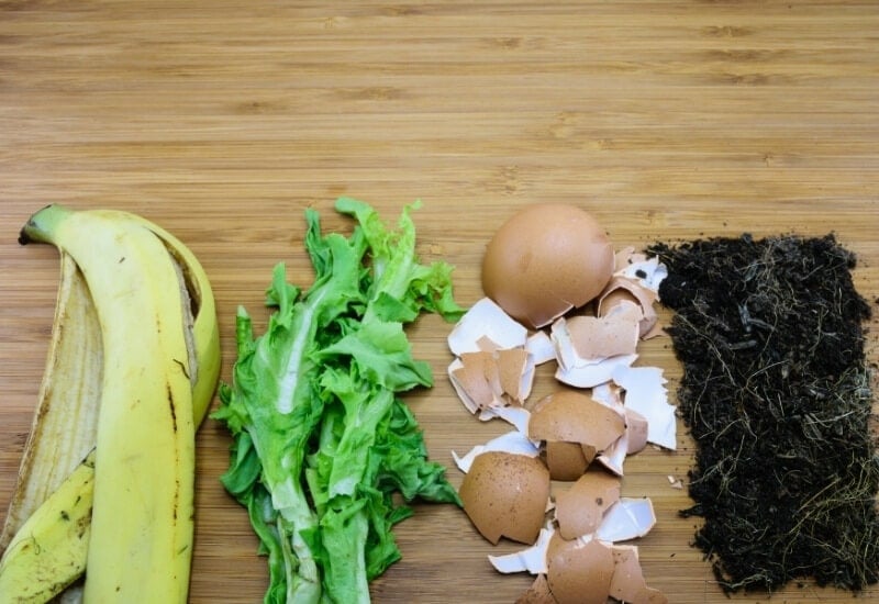 Homemade Fertilizers 10 DIY Options To Fertilize Houseplants Naturally