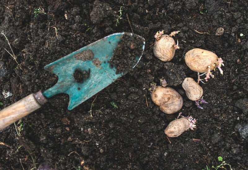 How to Amend Soil with Compost