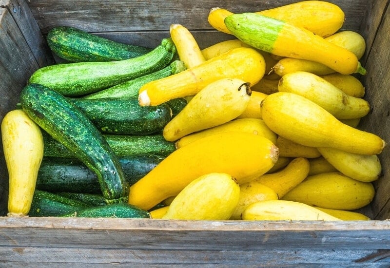 Types Of Squash 23 Best Squash Varieties To Grow in Gardens
