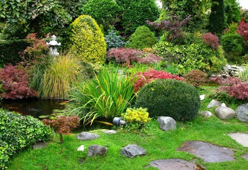 12 Traditional Japanese Garden Plants, Plants For Japanese Garden Uk