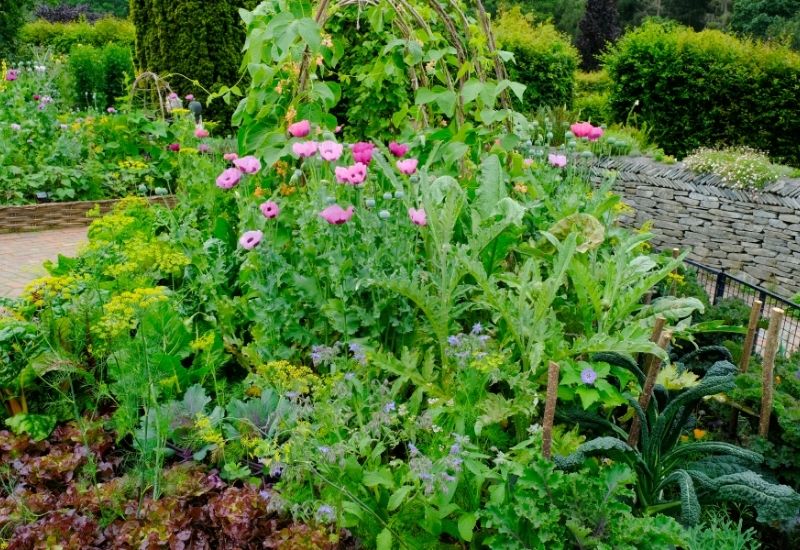 17 Perennial Vegetables To Plant Once And Harvest For Years