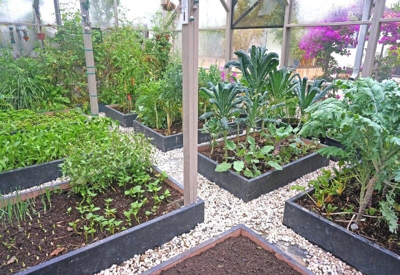 Best Materials to Build Raised Garden Beds 
