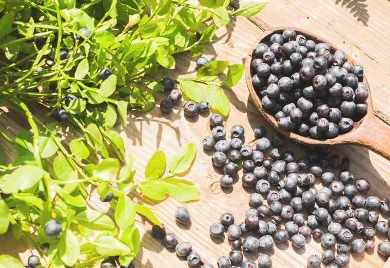 Blueberries’ Nutritional Value