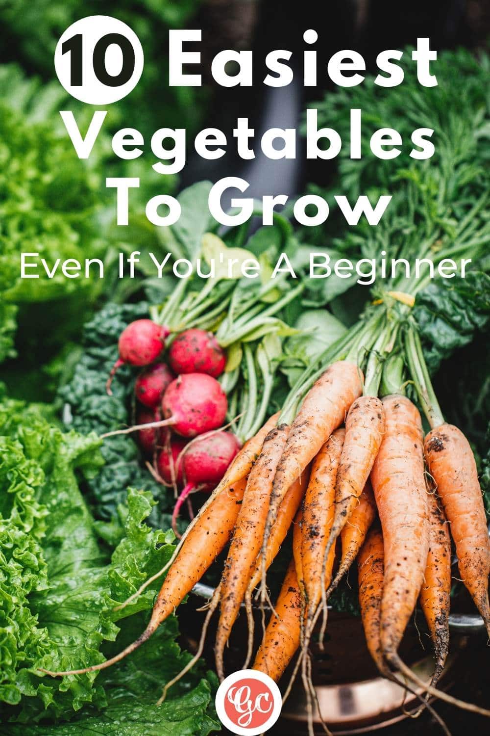 Easiest Vegetables To Grow For Beginner