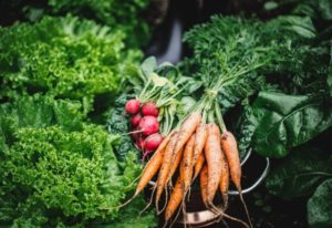 Easiest Vegetables To Grow For The First Time Gardeners