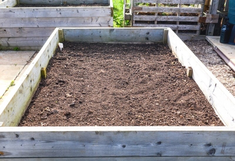 7 Things to Consider Before Preparing a Raised Garden Bed