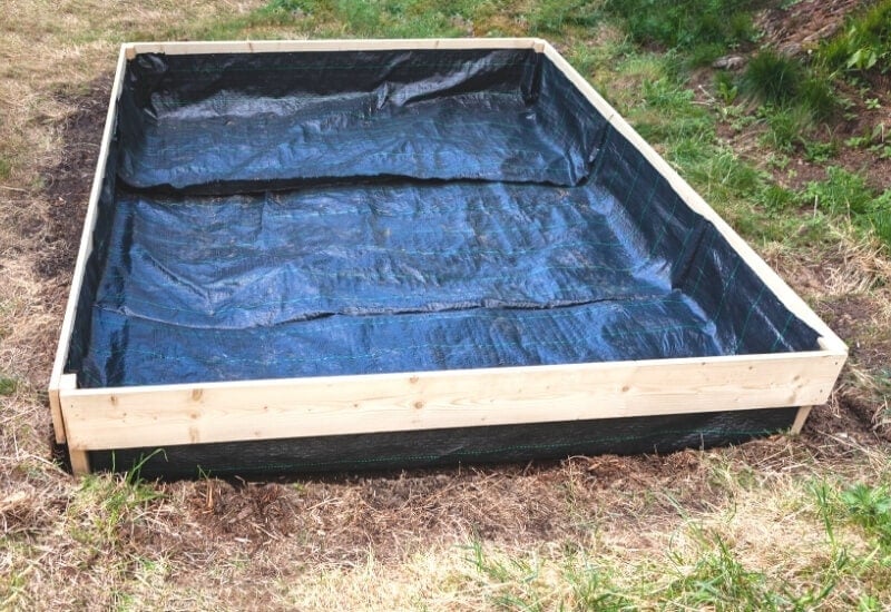 How Big Should a Raised Bed Be?