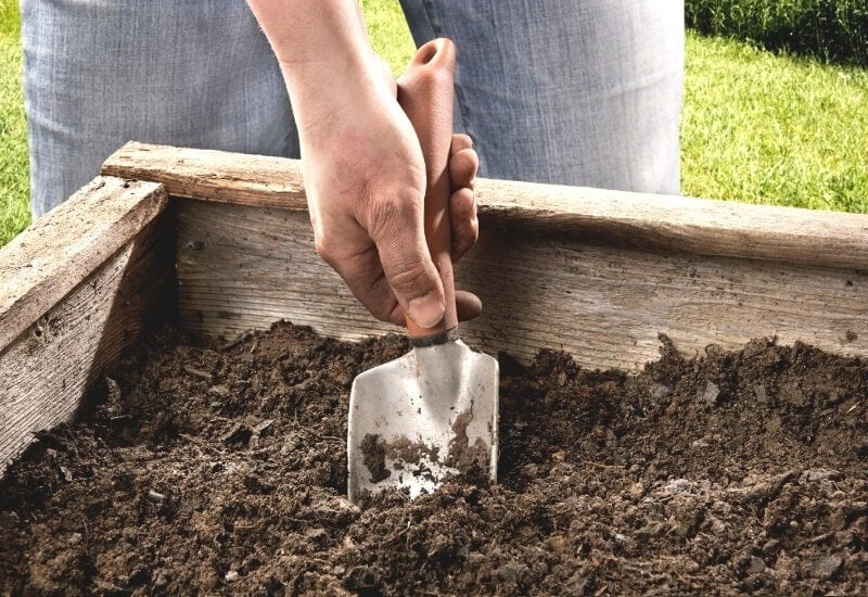 How to Pick the Perfect Spot for a Raised Bed?