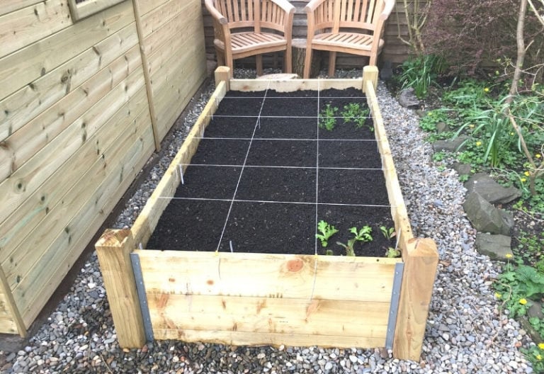 Raised Bed Gardening for Beginners Planning, Building, Soil & Planting