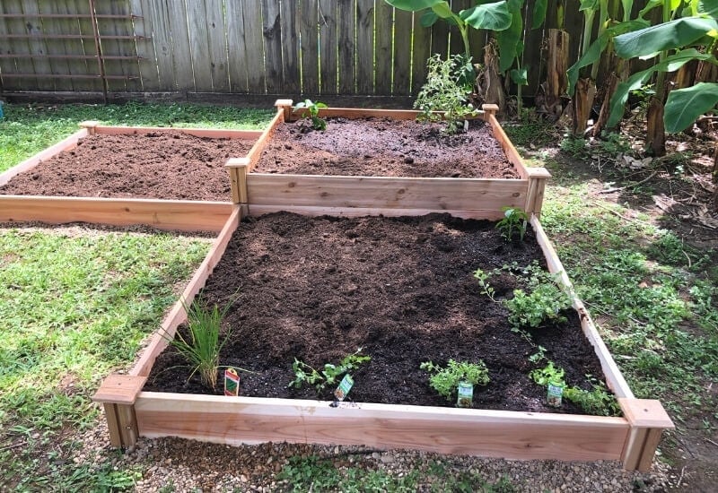 How to Build a Raised Garden Bed 