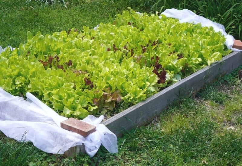 Ideal for Small Spaces