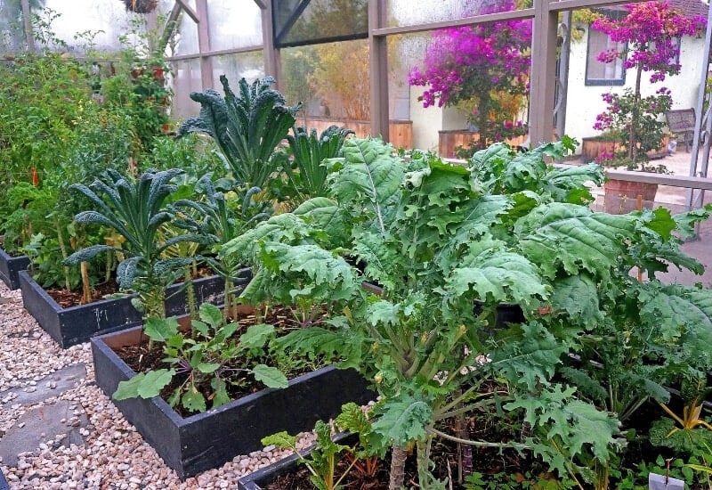 More Productive Gardening