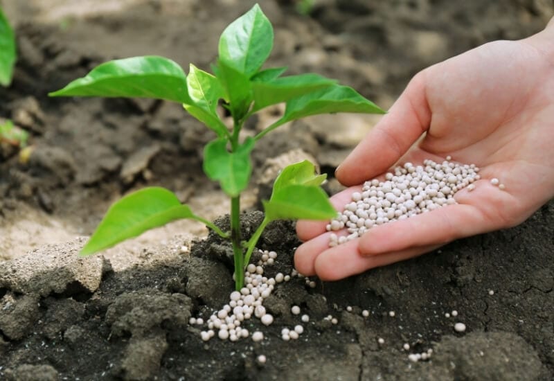 PERLITE AND VERMICULITE HAVE DIFFERENT PH