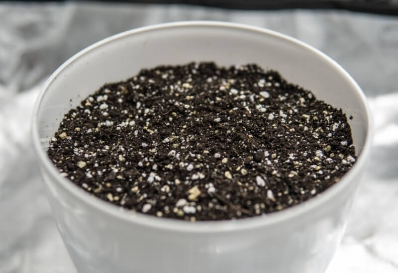 Perlite’s pH and How It Changes It in the Soil