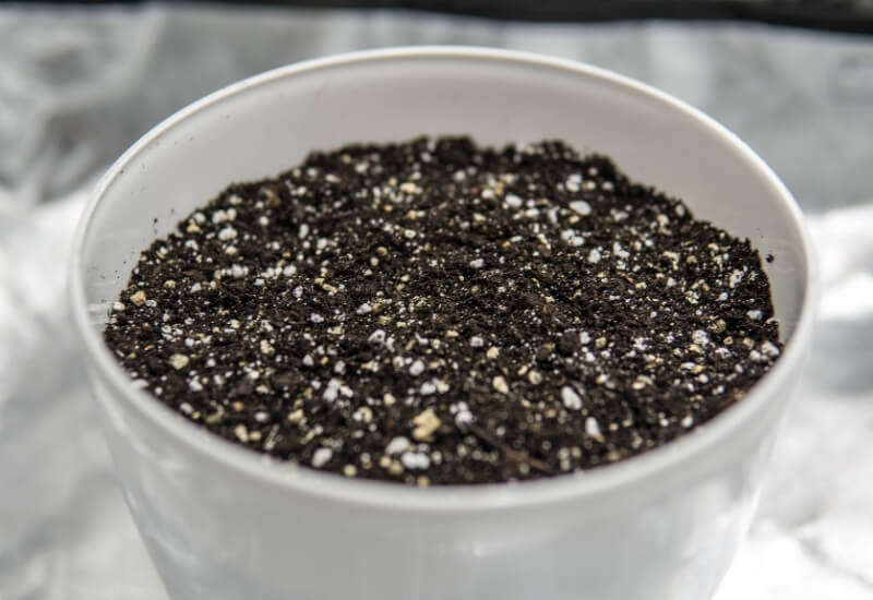 Vermiculite vs. Perlite: Differences, Uses, & Benefits To Know