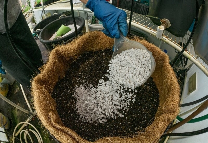 PERLITE AND VERMICULITE: HOW THEY HOLD ON TO AIR IN THE SOIL