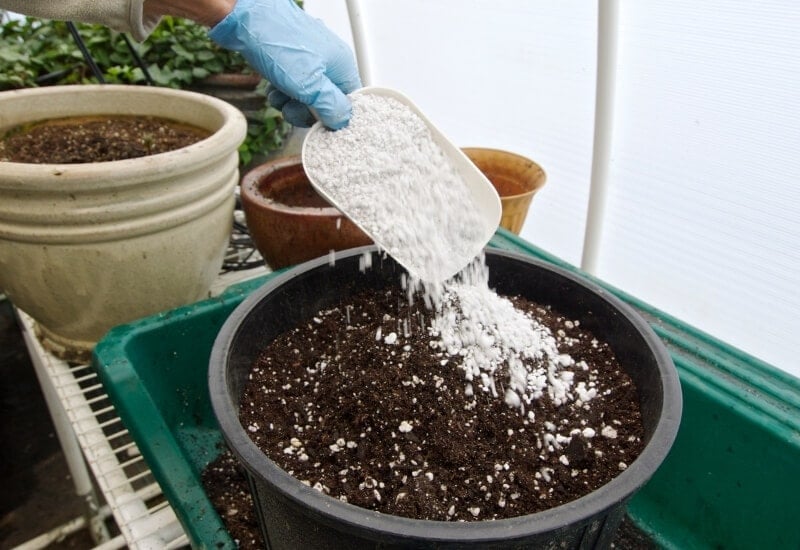 Perlite and Water