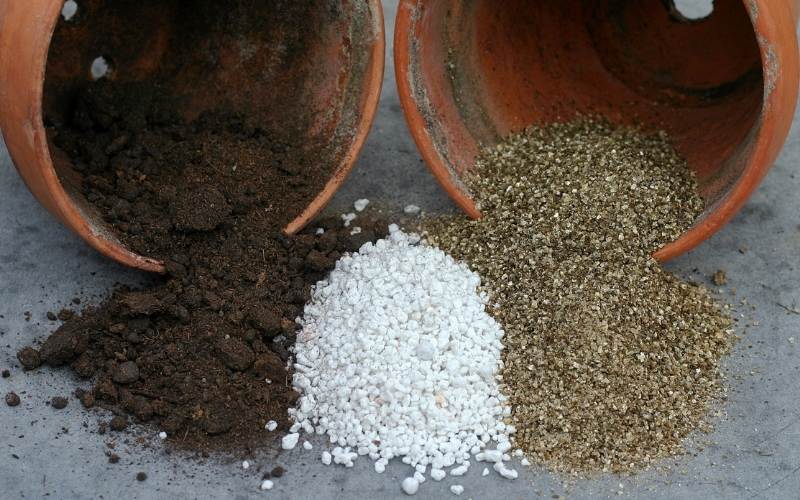 USA! Details about   QUALITY PERLITE & VERMICULITE MED-FINE 1/2 GAL EACH SAME DAY SHIPPING 